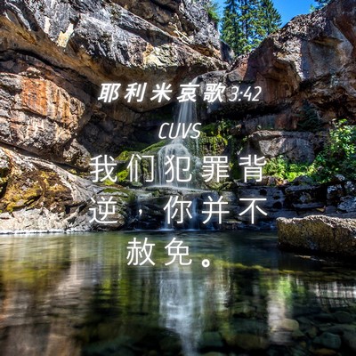 Picture 04 - 耶 利 米 哀 歌 3:42 CUVS - 我 们 犯 罪 背 逆 ， 你 并 不 赦 免 - Bible Verse Picture