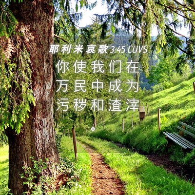 Picture 04 - 耶 利 米 哀 歌 3:45 CUVS - 你 使 我 们 在 万 民 中 成 为 污 秽 - Bible Verse Picture