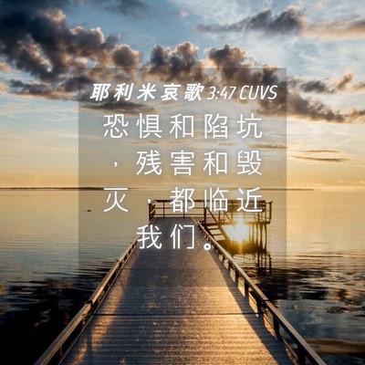 Picture 04 - 耶 利 米 哀 歌 3:47 CUVS - 恐 惧 和 陷 坑 ， 残 害 和 毁 灭 ， - Bible Verse Picture