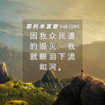 Picture 04 - 耶 利 米 哀 歌 3:48 CUVS - 因 我 众 民 遭 的 毁 灭 ， 我 就 眼 - Bible Verse Picture