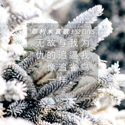Picture 04 - 耶 利 米 哀 歌 3:52 CUVS - 无 故 与 我 为 仇 的 追 逼 我 ， 像 - Bible Verse Picture