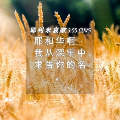 Picture 04 - 耶 利 米 哀 歌 3:55 CUVS - 耶 和 华 啊 ， 我 从 深 牢 中 求 告 - Bible Verse Picture
