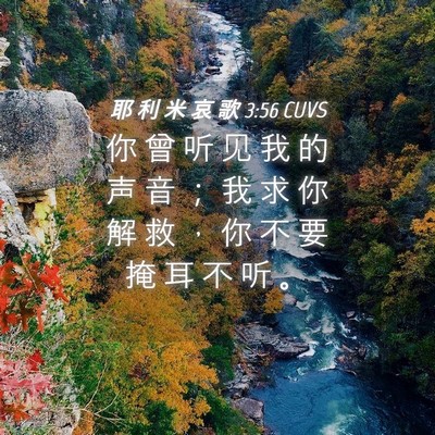 Picture 04 - 耶 利 米 哀 歌 3:56 CUVS - 你 曾 听 见 我 的 声 音 ； 我 求 你 - Bible Verse Picture