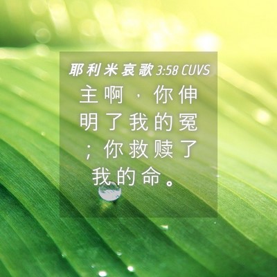 Picture 04 - 耶 利 米 哀 歌 3:58 CUVS - 主 啊 ， 你 伸 明 了 我 的 冤 ； 你 - Bible Verse Picture