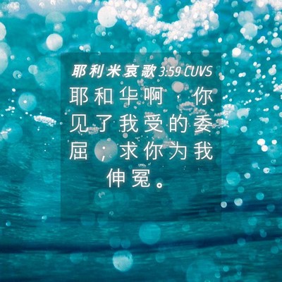 Picture 04 - 耶 利 米 哀 歌 3:59 CUVS - 耶 和 华 啊 ， 你 见 了 我 受 的 委 - Bible Verse Picture