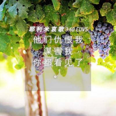 Picture 04 - 耶 利 米 哀 歌 3:60 CUVS - 他 们 仇 恨 我 ， 谋 害 我 ， 你 都 - Bible Verse Picture
