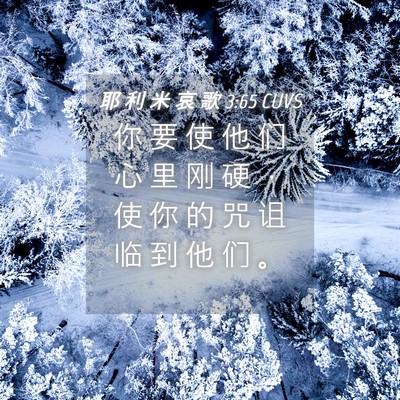 Picture 04 - 耶 利 米 哀 歌 3:65 CUVS - 你 要 使 他 们 心 里 刚 硬 ， 使 你 - Bible Verse Picture