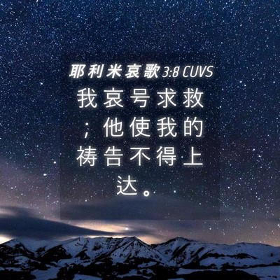 Picture 04 - 耶 利 米 哀 歌 3:8 CUVS - 我 哀 号 求 救 ； 他 使 我 的 祷 告 - Bible Verse Picture