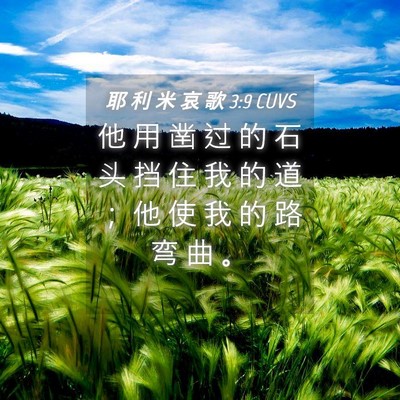 Picture 04 - 耶 利 米 哀 歌 3:9 CUVS - 他 用 凿 过 的 石 头 挡 住 我 的 道 - Bible Verse Picture