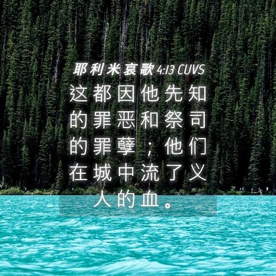 Picture 04 - 耶 利 米 哀 歌 4:13 CUVS - 这 都 因 他 先 知 的 罪 恶 和 祭 司 - Bible Verse Picture
