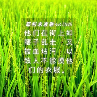 Picture 04 - 耶 利 米 哀 歌 4:14 CUVS - 他 们 在 街 上 如 瞎 子 乱 走 ， 又 - Bible Verse Picture