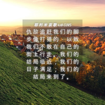 Picture 04 - 耶 利 米 哀 歌 4:18 CUVS - 仇 敌 追 赶 我 们 的 脚 步 像 打 猎 - Bible Verse Picture