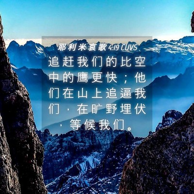 Picture 04 - 耶 利 米 哀 歌 4:19 CUVS - 追 赶 我 们 的 比 空 中 的 鹰 更 快 - Bible Verse Picture