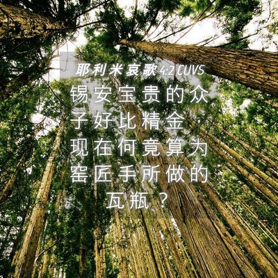 Picture 04 - 耶 利 米 哀 歌 4:2 CUVS - 锡 安 宝 贵 的 众 子 好 比 精 金 ， - Bible Verse Picture