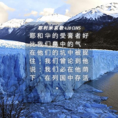 Picture 04 - 耶 利 米 哀 歌 4:20 CUVS - 耶 和 华 的 受 膏 者 好 比 我 们 鼻 - Bible Verse Picture