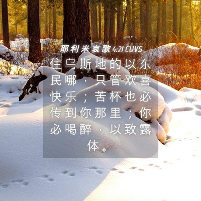 Picture 04 - 耶 利 米 哀 歌 4:21 CUVS - 住 乌 斯 地 的 以 东 民 哪 ， 只 管 - Bible Verse Picture