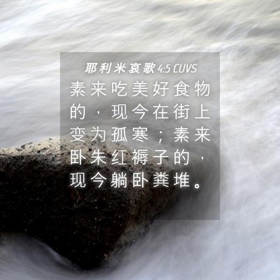 Picture 04 - 耶 利 米 哀 歌 4:5 CUVS - 素 来 吃 美 好 食 物 的 ， 现 今 在 - Bible Verse Picture