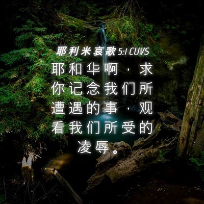 Picture 04 - 耶 利 米 哀 歌 5:1 CUVS - 耶 和 华 啊 ， 求 你 记 念 我 们 所 - Bible Verse Picture