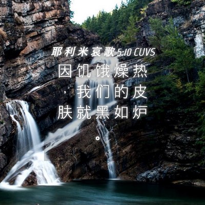 Picture 04 - 耶 利 米 哀 歌 5:10 CUVS - 因 饥 饿 燥 热 ， 我 们 的 皮 肤 就 - Bible Verse Picture