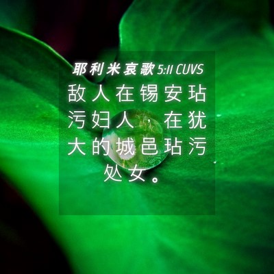 Picture 04 - 耶 利 米 哀 歌 5:11 CUVS - 敌 人 在 锡 安 玷 污 妇 人 ， 在 犹 - Bible Verse Picture