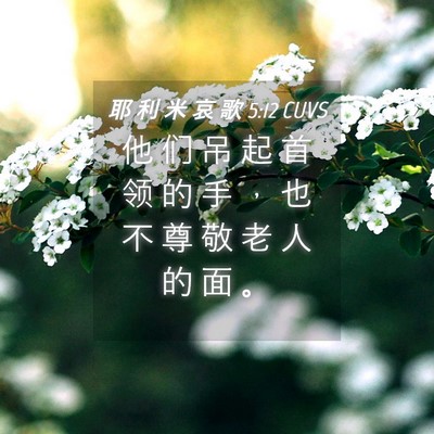 Picture 04 - 耶 利 米 哀 歌 5:12 CUVS - 他 们 吊 起 首 领 的 手 ， 也 不 尊 - Bible Verse Picture