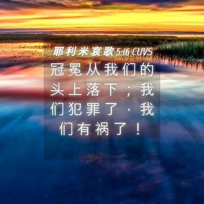 Picture 04 - 耶 利 米 哀 歌 5:16 CUVS - 冠 冕 从 我 们 的 头 上 落 下 ； 我 - Bible Verse Picture