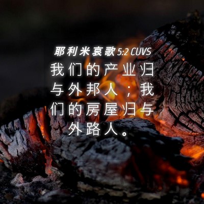 Picture 04 - 耶 利 米 哀 歌 5:2 CUVS - 我 们 的 产 业 归 与 外 邦 人 ； 我 - Bible Verse Picture