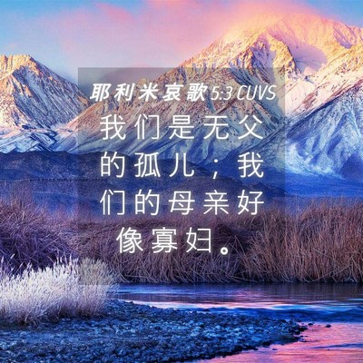 Picture 04 - 耶 利 米 哀 歌 5:3 CUVS - 我 们 是 无 父 的 孤 儿 ； 我 们 的 - Bible Verse Picture