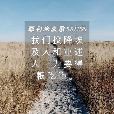 Picture 04 - 耶 利 米 哀 歌 5:6 CUVS - 我 们 投 降 埃 及 人 和 亚 述 人 ， - Bible Verse Picture