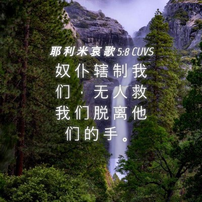 Picture 04 - 耶 利 米 哀 歌 5:8 CUVS - 奴 仆 辖 制 我 们 ， 无 人 救 我 们 - Bible Verse Picture