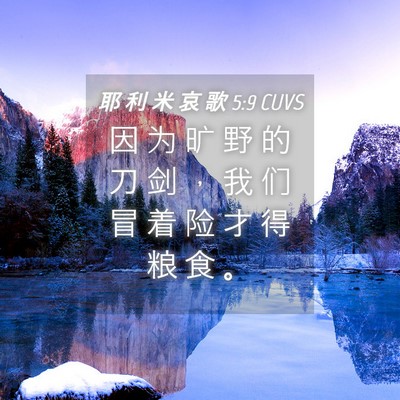 Picture 04 - 耶 利 米 哀 歌 5:9 CUVS - 因 为 旷 野 的 刀 剑 ， 我 们 冒 着 - Bible Verse Picture
