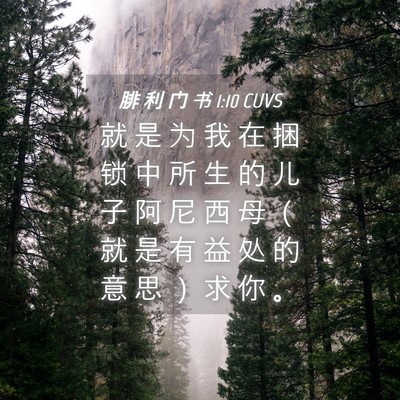 Picture 04 - 腓 利 门 书 1:10 CUVS - 就 是 为 我 在 捆 锁 中 所 生 的 儿 - Bible Verse Picture