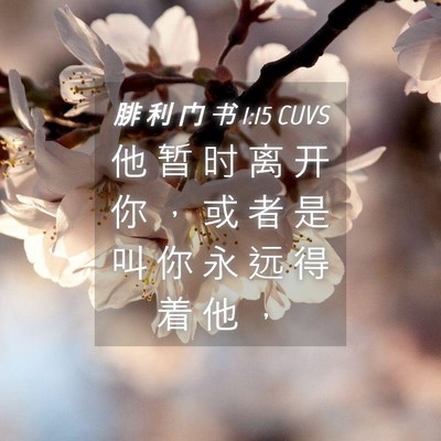 Picture 04 - 腓 利 门 书 1:15 CUVS - 他 暂 时 离 开 你 ， 或 者 是 叫 你 - Bible Verse Picture