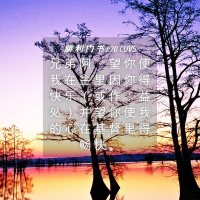 Picture 04 - 腓 利 门 书 1:20 CUVS - 兄 弟 阿 ， 望 你 使 我 在 主 里 因 - Bible Verse Picture