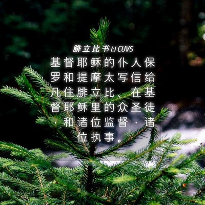 Picture 04 - 腓 立 比 书 1:1 CUVS - 基 督 耶 稣 的 仆 人 保 罗 和 提 摩 - Bible Verse Picture