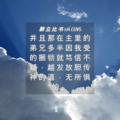 Picture 04 - 腓 立 比 书 1:14 CUVS - 并 且 那 在 主 里 的 弟 兄 多 半 因 - Bible Verse Picture