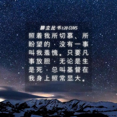 Picture 04 - 腓 立 比 书 1:20 CUVS - 照 着 我 所 切 慕 、 所 盼 望 的 ， - Bible Verse Picture