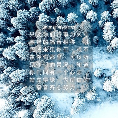 Picture 04 - 腓 立 比 书 1:27 CUVS - 只 要 你 们 行 事 为 人 与 基 督 的 - Bible Verse Picture