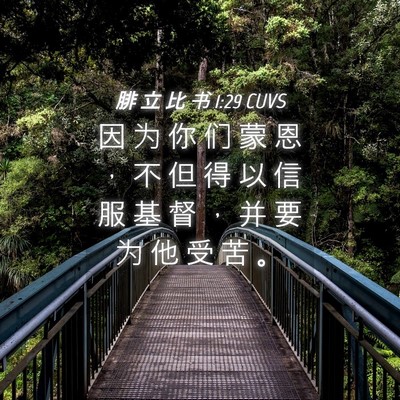 Picture 04 - 腓 立 比 书 1:29 CUVS - 因 为 你 们 蒙 恩 ， 不 但 得 以 信 - Bible Verse Picture