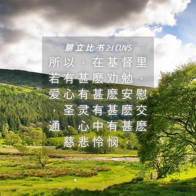 Picture 04 - 腓 立 比 书 2:1 CUVS - 所 以 ， 在 基 督 里 若 有 甚 麽 劝 - Bible Verse Picture