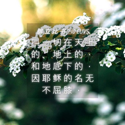 Picture 04 - 腓 立 比 书 2:10 CUVS - 叫 一 切 在 天 上 的 、 地 上 的 ， - Bible Verse Picture