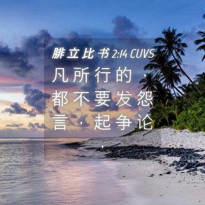 Picture 04 - 腓 立 比 书 2:14 CUVS - 凡 所 行 的 ， 都 不 要 发 怨 言 ， - Bible Verse Picture