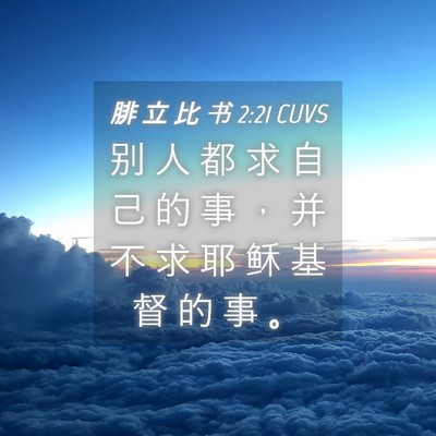 Picture 04 - 腓 立 比 书 2:21 CUVS - 别 人 都 求 自 己 的 事 ， 并 不 求 - Bible Verse Picture