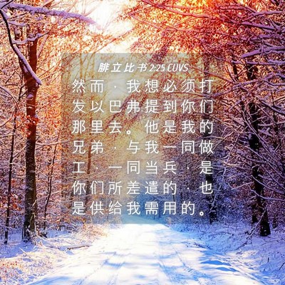 Picture 04 - 腓 立 比 书 2:25 CUVS - 然 而 ， 我 想 必 须 打 发 以 巴 弗 - Bible Verse Picture