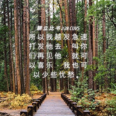 Picture 04 - 腓 立 比 书 2:28 CUVS - 所 以 我 越 发 急 速 打 发 他 去 ， - Bible Verse Picture