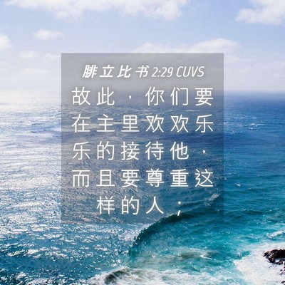 Picture 04 - 腓 立 比 书 2:29 CUVS - 故 此 ， 你 们 要 在 主 里 欢 欢 乐 - Bible Verse Picture