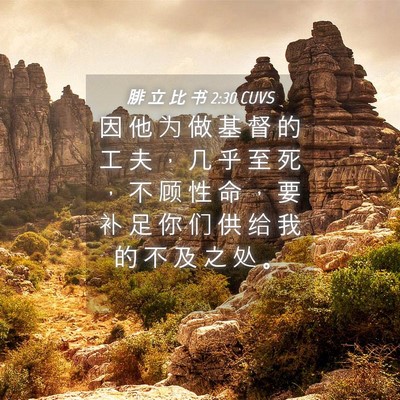 Picture 04 - 腓 立 比 书 2:30 CUVS - 因 他 为 做 基 督 的 工 夫 ， 几 乎 - Bible Verse Picture