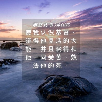 Picture 04 - 腓 立 比 书 3:10 CUVS - 使 我 认 识 基 督 ， 晓 得 他 复 活 - Bible Verse Picture