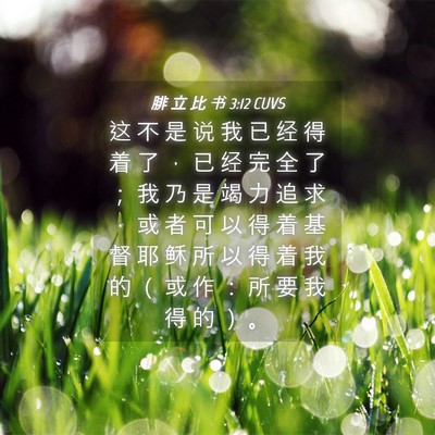 Picture 04 - 腓 立 比 书 3:12 CUVS - 这 不 是 说 我 已 经 得 着 了 ， 已 - Bible Verse Picture