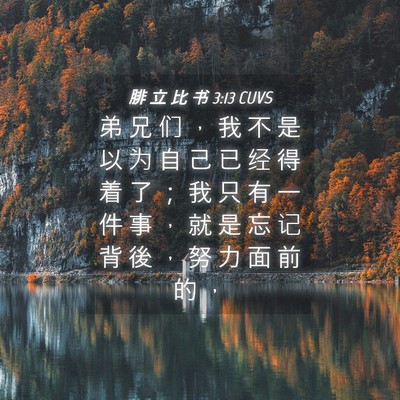 Picture 04 - 腓 立 比 书 3:13 CUVS - 弟 兄 们 ， 我 不 是 以 为 自 己 已 - Bible Verse Picture